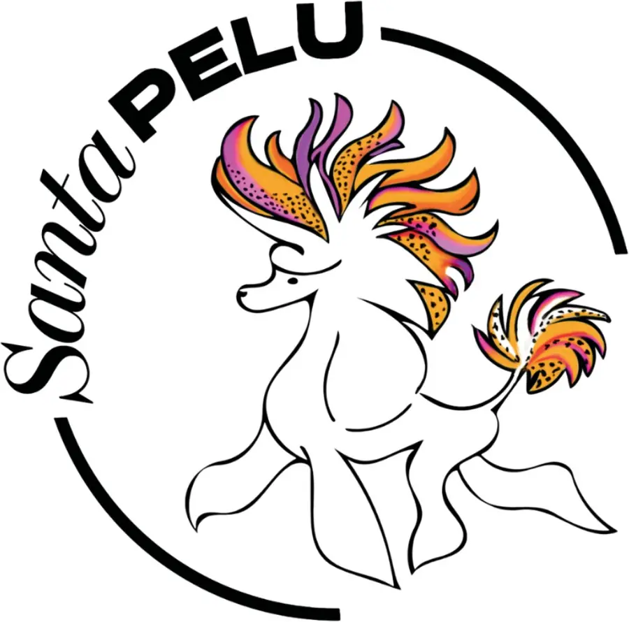 Santa Pelu